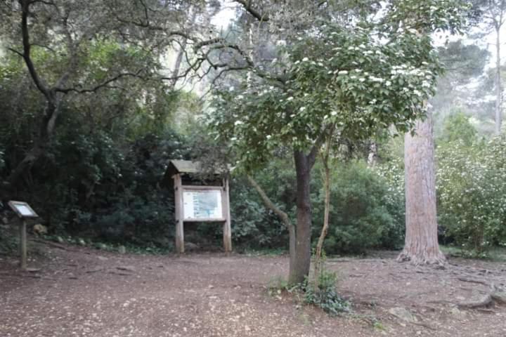 Casa Rural Ca Xelo Apartment Polinya de Xuquer Luaran gambar